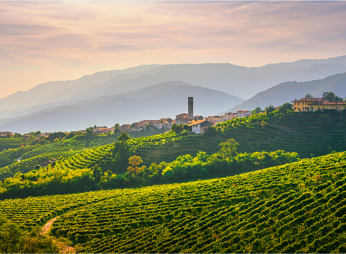 Valdobbiadene: in viaggio tra Stelle e Calici